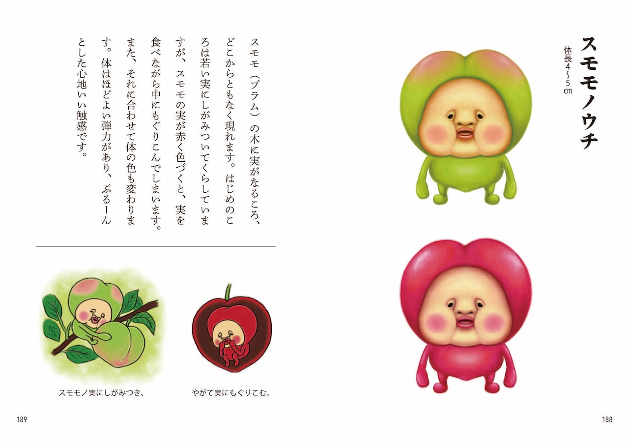 こびとづかんイラストの魅力と描き方！カクレモモジリの正体と最新情報