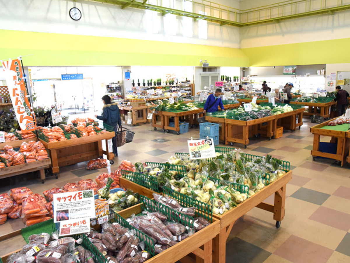 碧南市あおいパーク人気の理由とは？収穫体験や産直市の魅力を徹底解剖