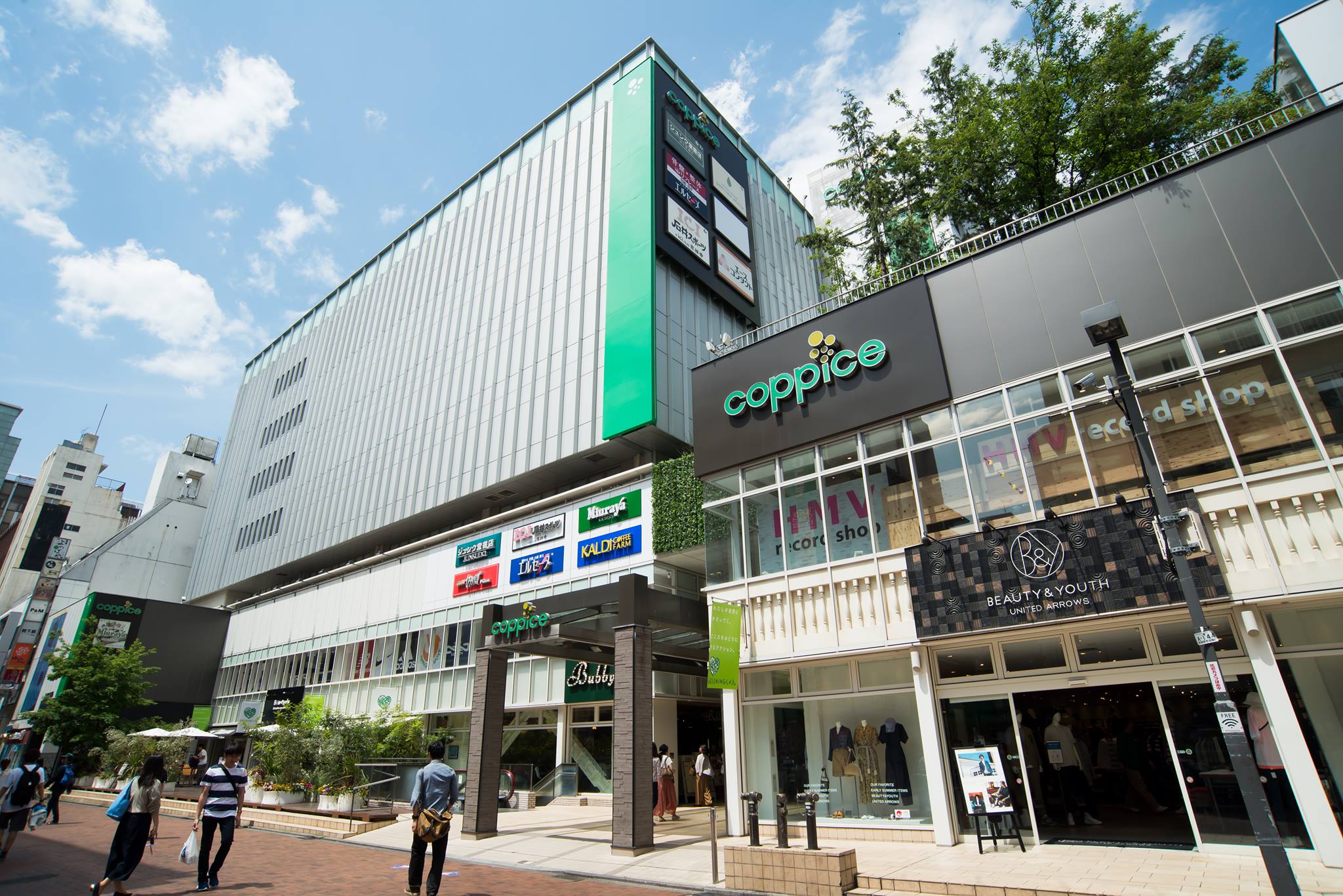 皇室御用達「浜本工芸」を選ぶ理由 ナラ無垢材と価格改定の真実