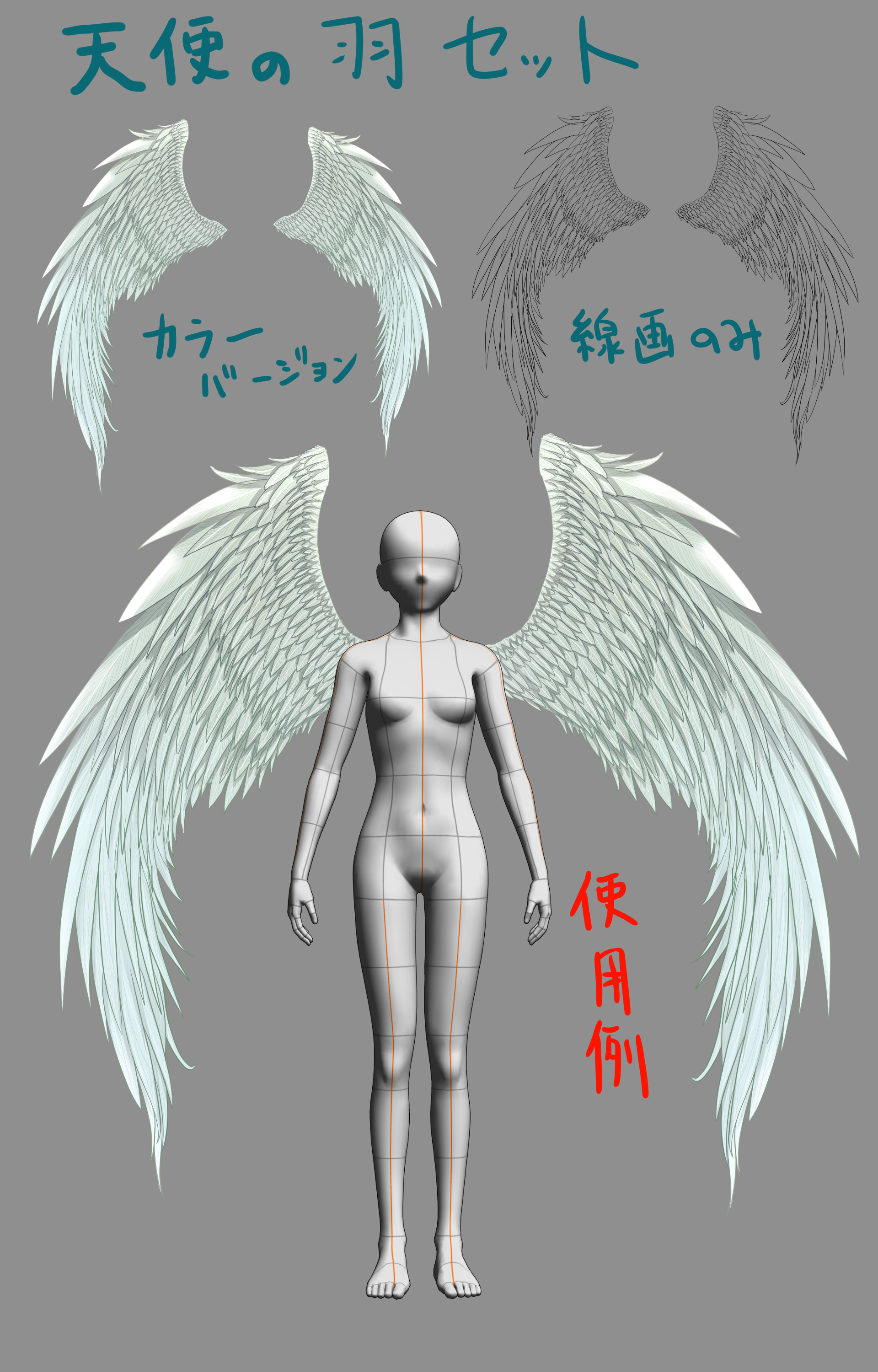 背中の天使の羽の正体を徹底解剖！埋もれる原因と劇的ストレッチ術