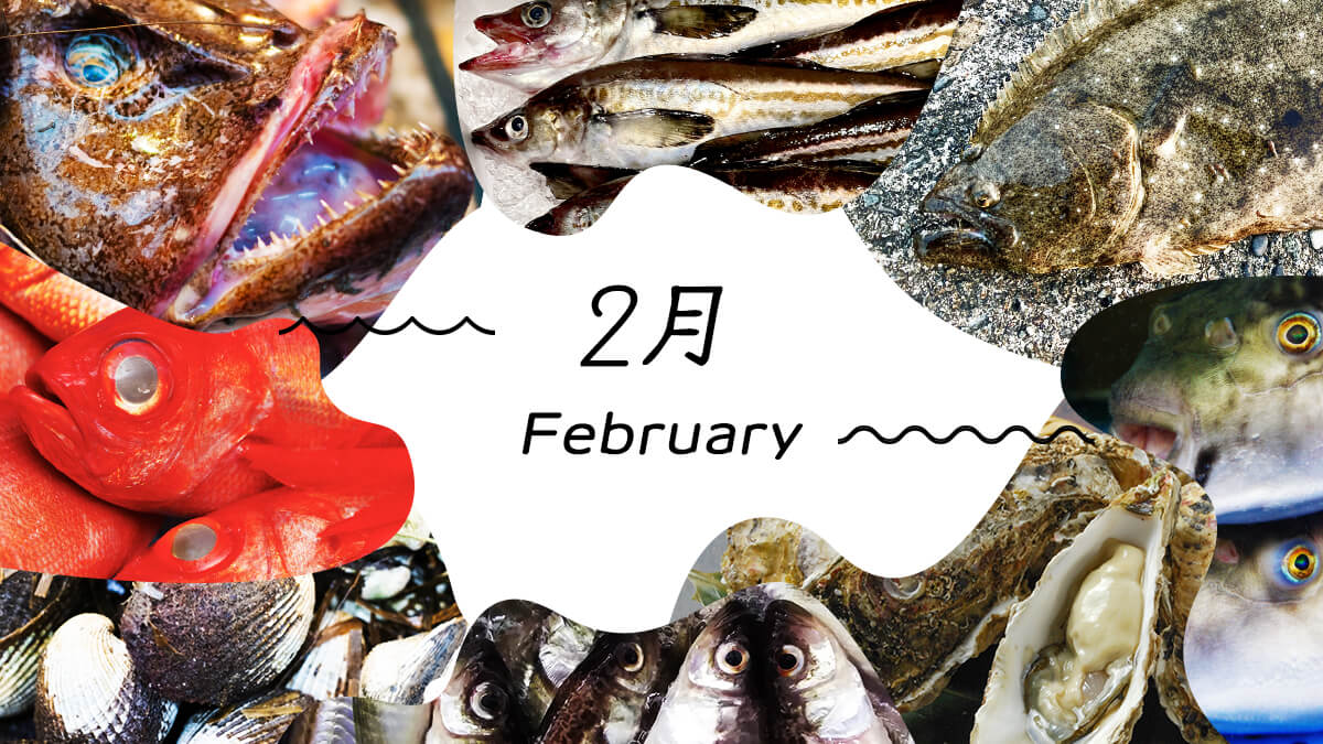 2月の旬の魚ランキング決定版！脂の乗りを見分けるプロの目利き術