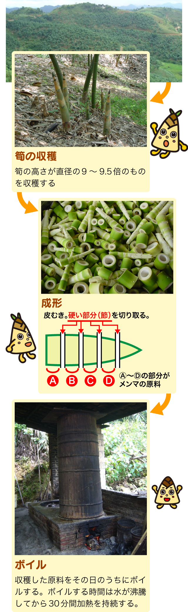 メンマの材料の正体とは？原料の麻竹や製造工程・手作りレシピを徹底解明