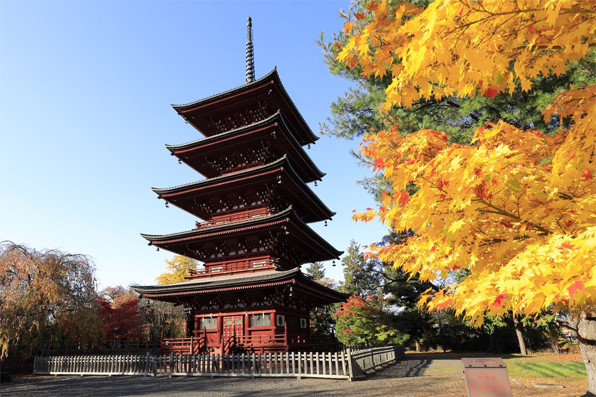 なぜ東北一美しい？弘前・最勝院の五重塔に秘められた歴史と見どころ