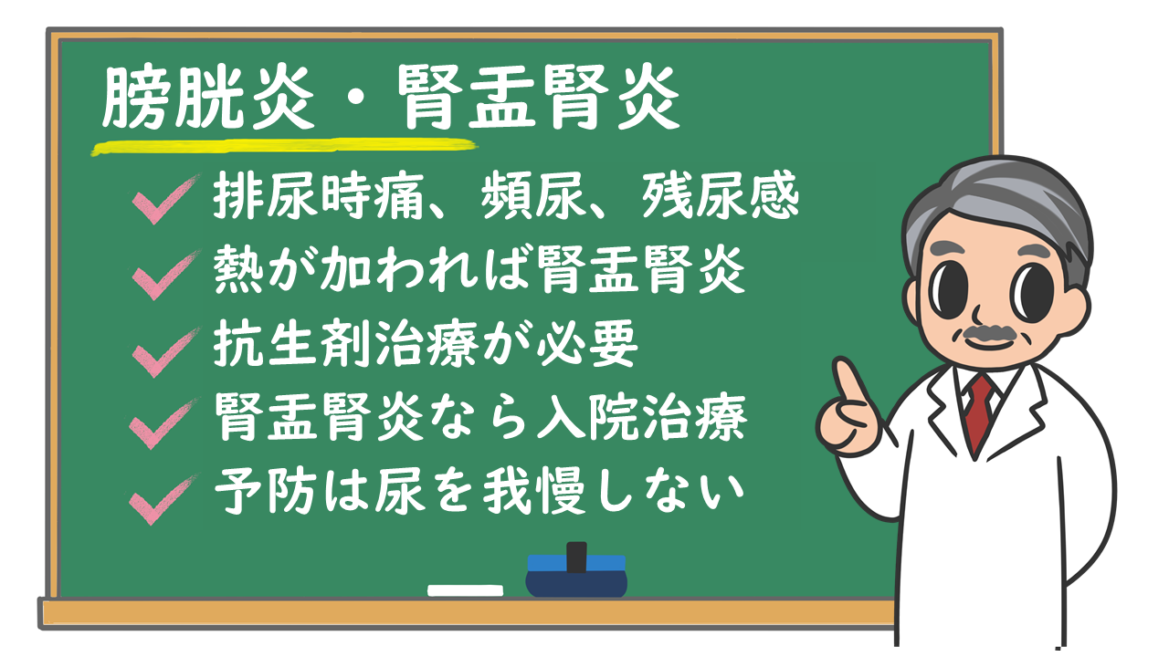 腎盂腎炎の前触れに気づかず重症化する人続出…発熱・背中の痛みは危険信号、2026年最新の受診目安と治療を総まとめ
