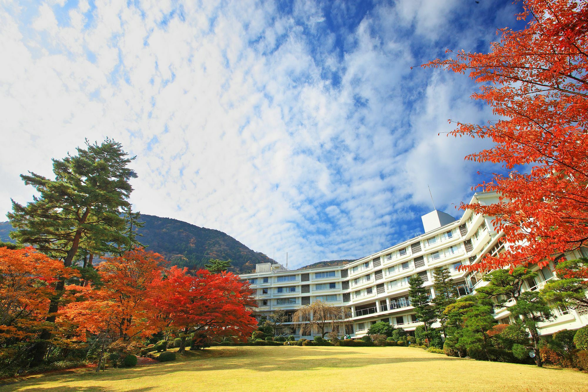 箱根ホテル小涌園の評判を徹底検証！ユネッサン特典とビュッフェの真実