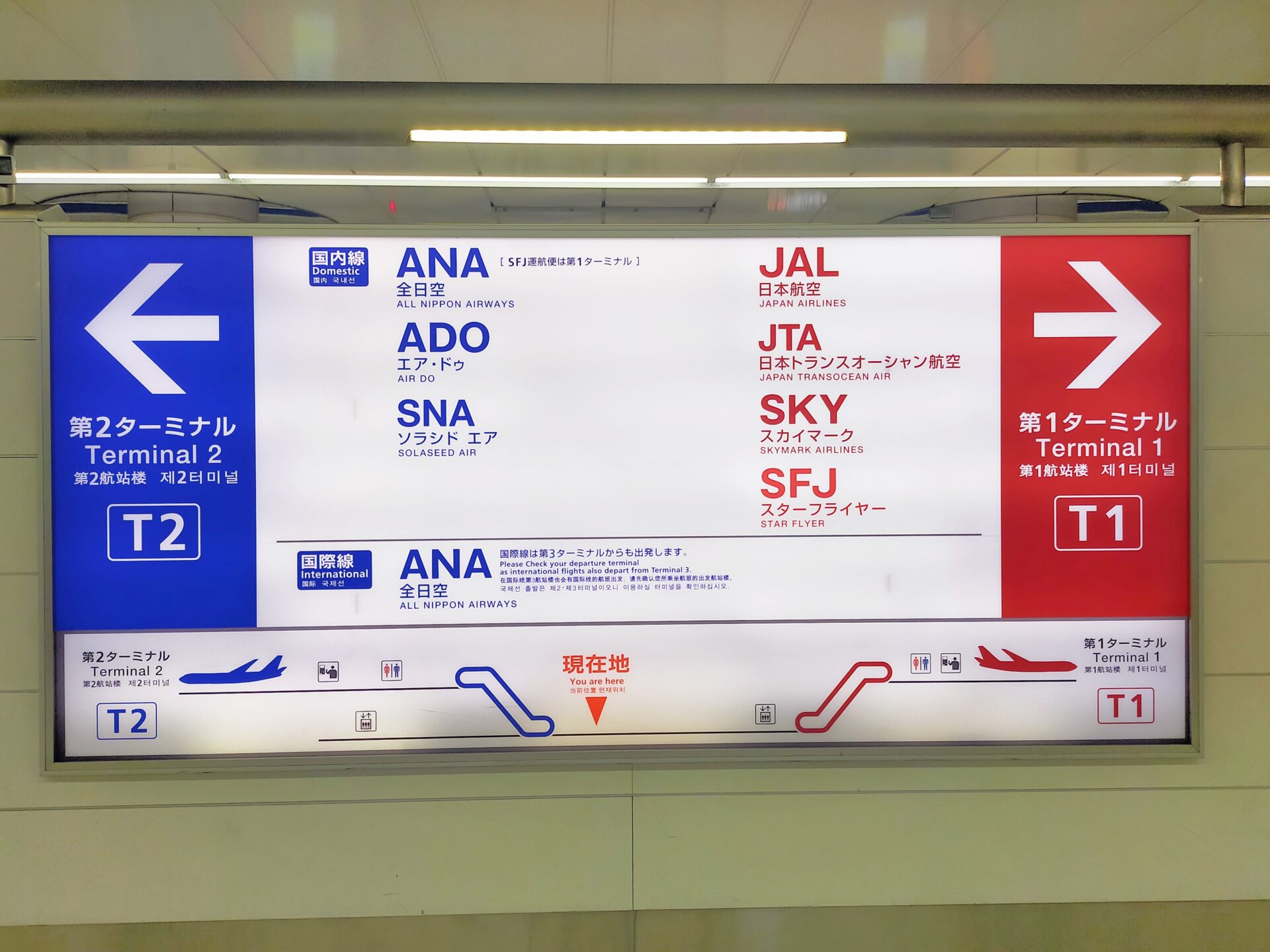 Anaの羽田ターミナルはどっち？国内線・国際線の違いと最新見分け方