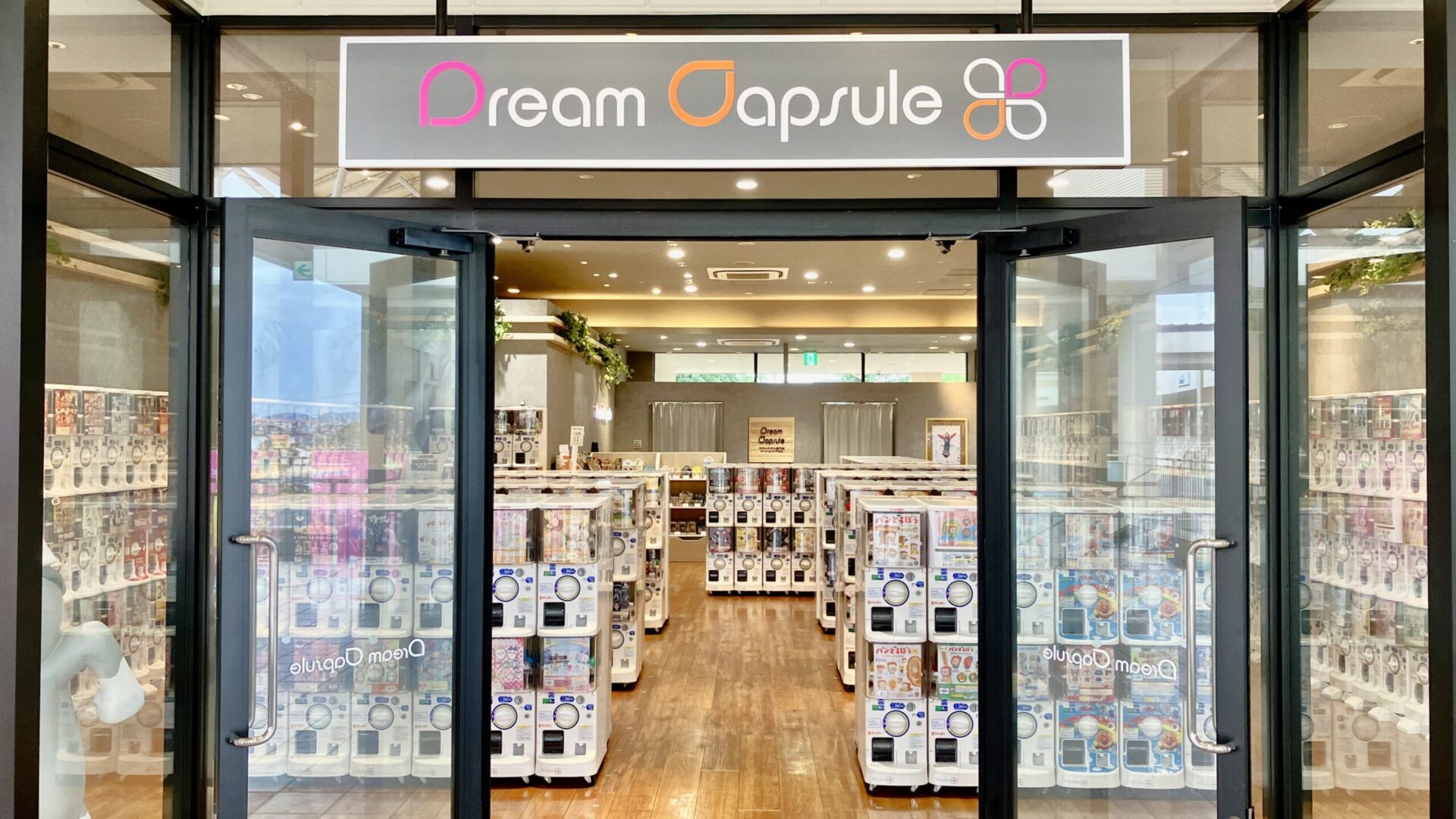 ドリームカプセル店舗の最新攻略！大型店と新作入荷速報の真実