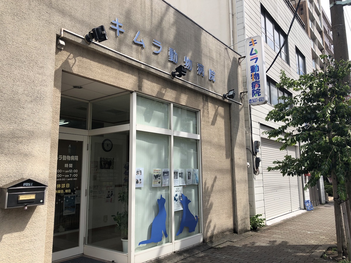 木村動物病院の評判と口コミの真相｜診療時間・費用から混雑対策まで解説