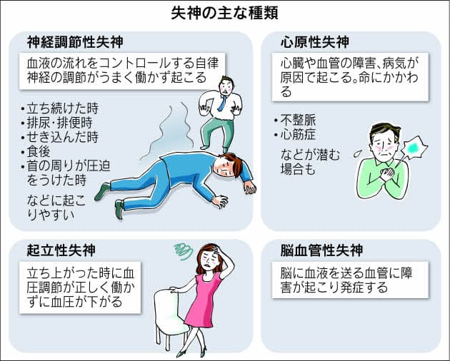 トイレで突然の失神？「迷走 神経 反射 腹痛」を引き起こす体内の異変と2026年最新の防衛策