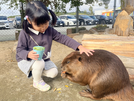 【必見】 久山 ふれあい 動物園 徹底解説＆真相まとめ #896