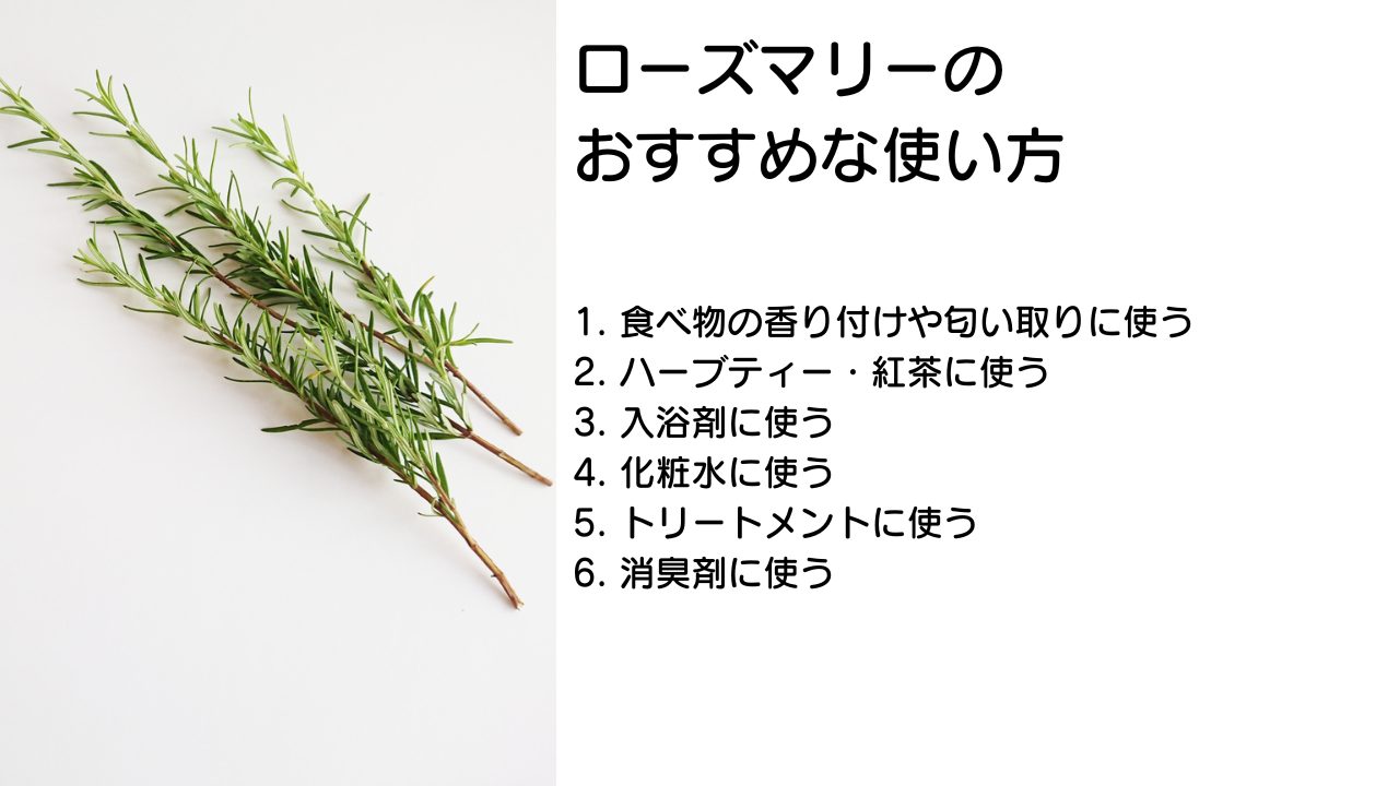 料理だけじゃない！ローズマリーの驚きの活用術と万能な使い方