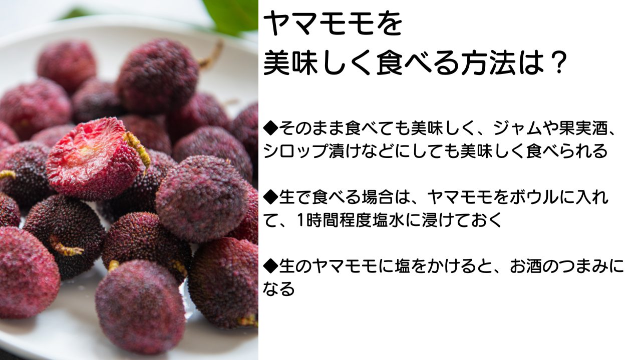 ポットの白い斑点を撃退！クエン酸洗浄の正しい量と放置時間完全ガイド