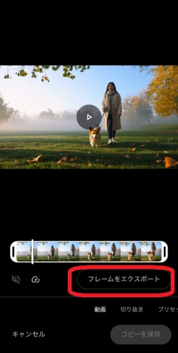 Iphone動画から高画質な静止画を保存する隠し技と完全手順