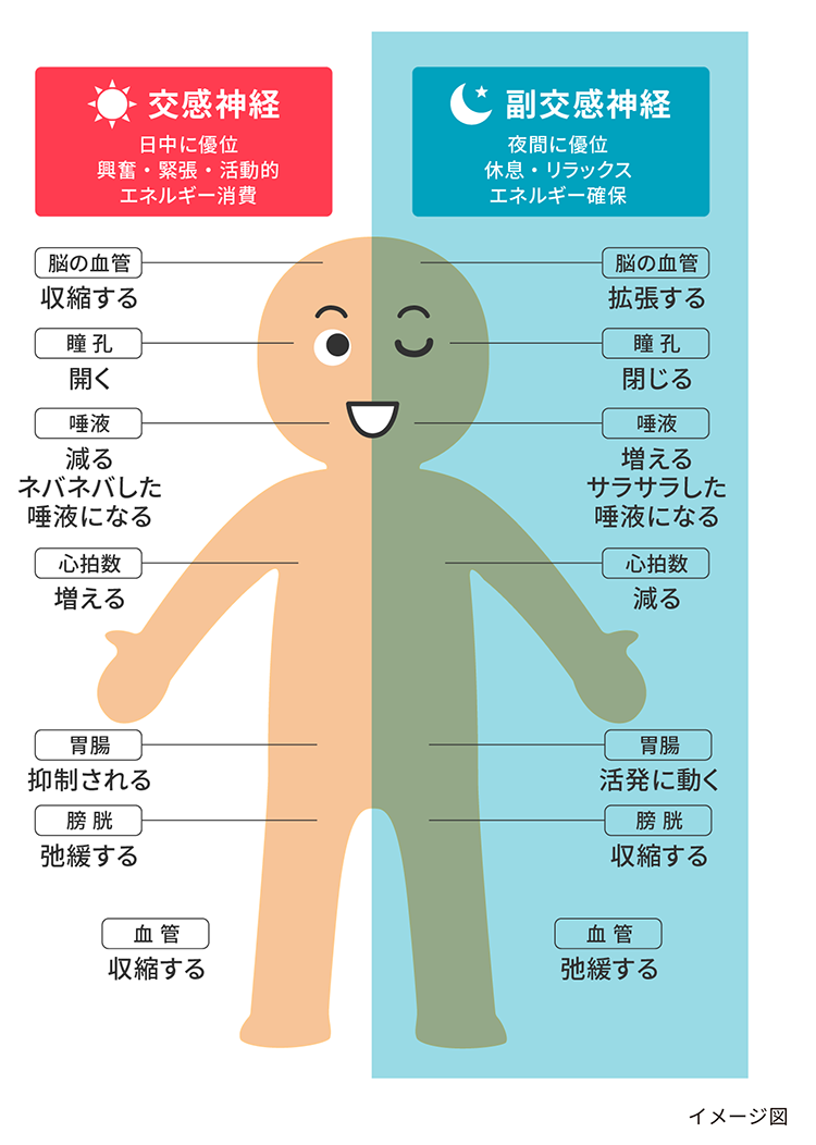 体のだるさが取れないのはなぜ？隠れた病気と生活習慣から見えた決定的な原因