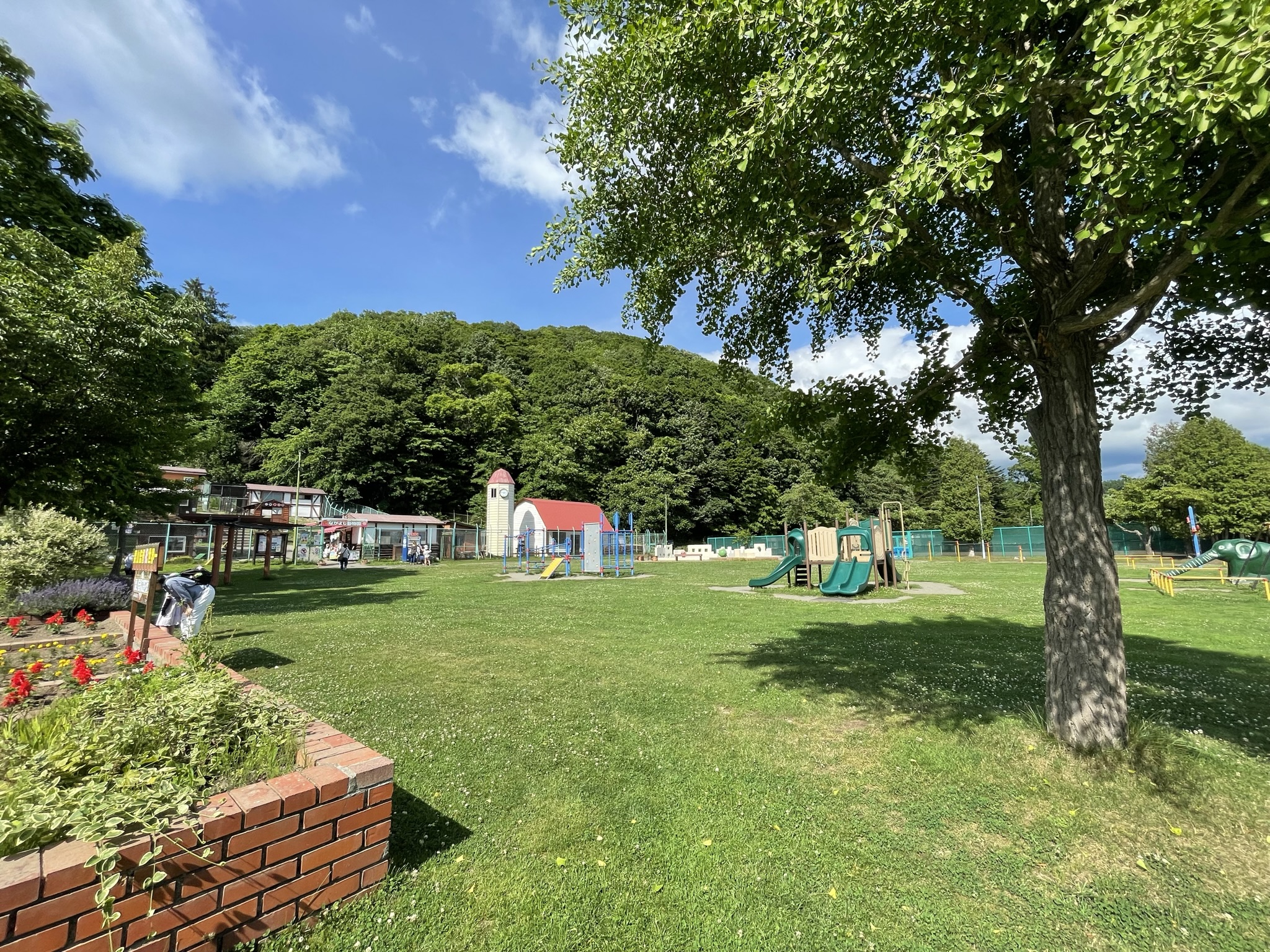 侍ジャパンの聖地・栗山公園が劇的新生！独占取材で迫る魅力