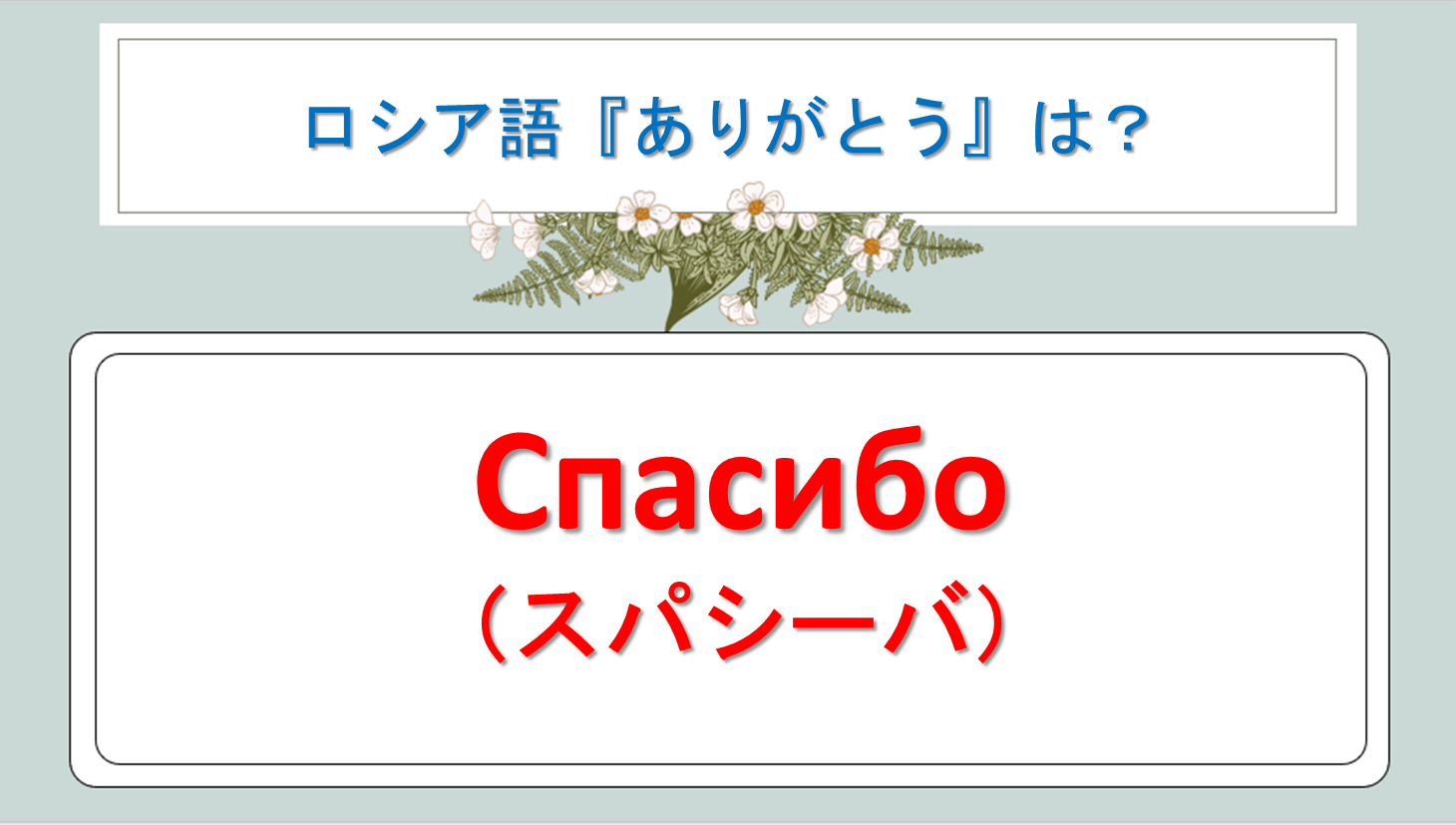 ロシア語の「ありがとう」完全攻略！発音の罠と丁寧な感謝表現の使い分け