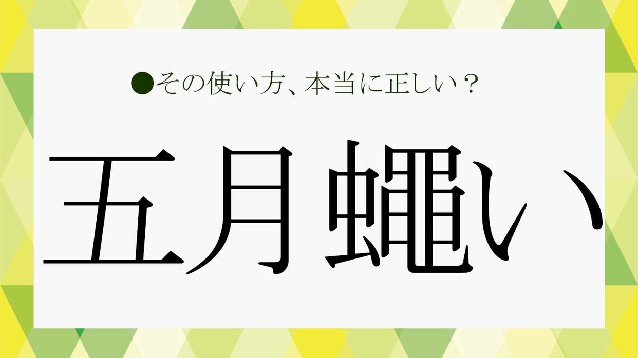 「五月蠅い」の正しい読み方と由来！なぜ「5月のハエ」と書くのか