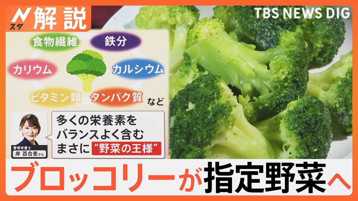 ブロッコリー食べ過ぎの健康被害とは？体臭・甲状腺の噂と適量解説