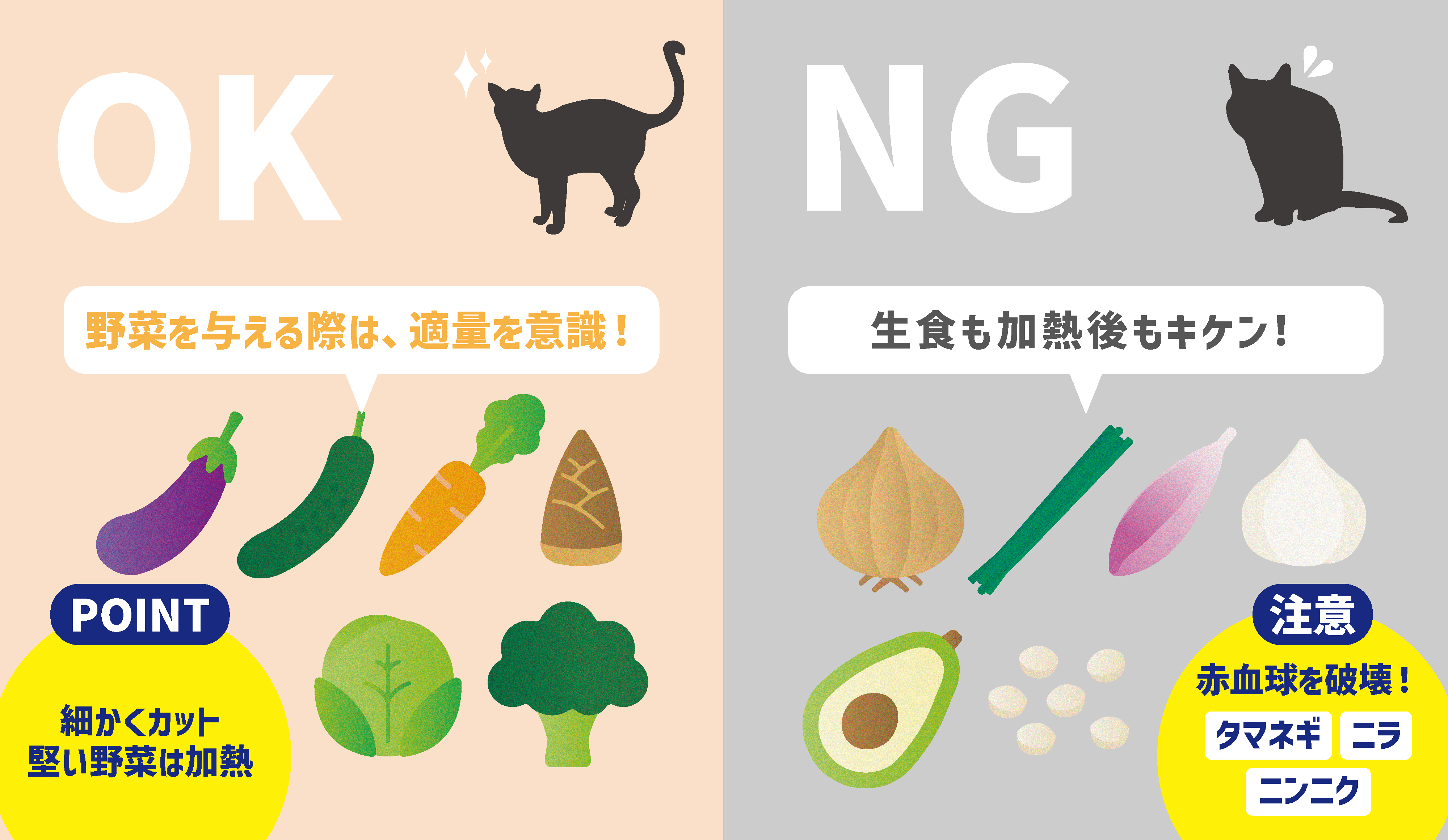 猫の好きな食べ物ランキングと魚派肉派の真相！食いつきの秘密とNg食品2026