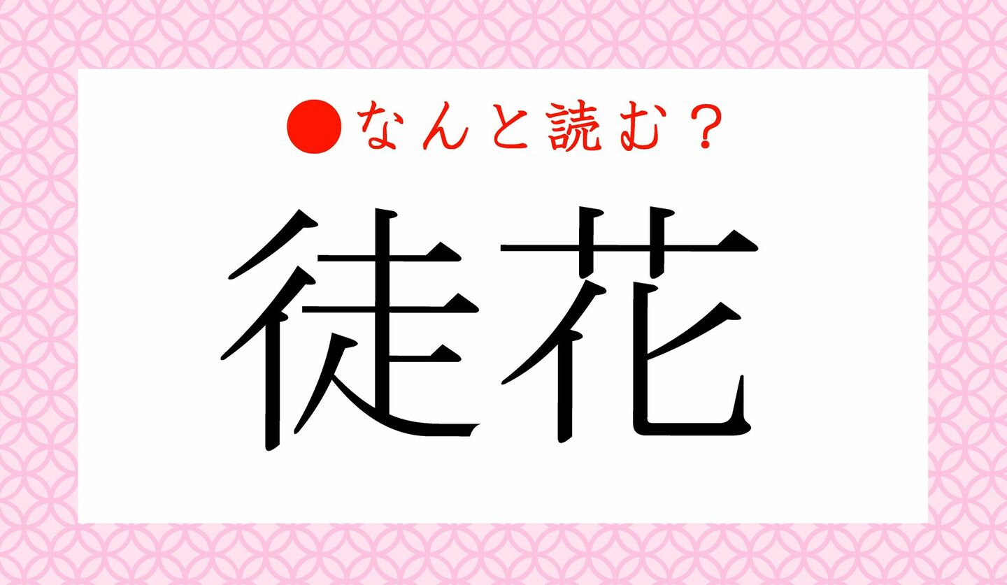 徒花とは？意味と語源・正しい使い方から「狂い咲き」との違いまで徹底解説