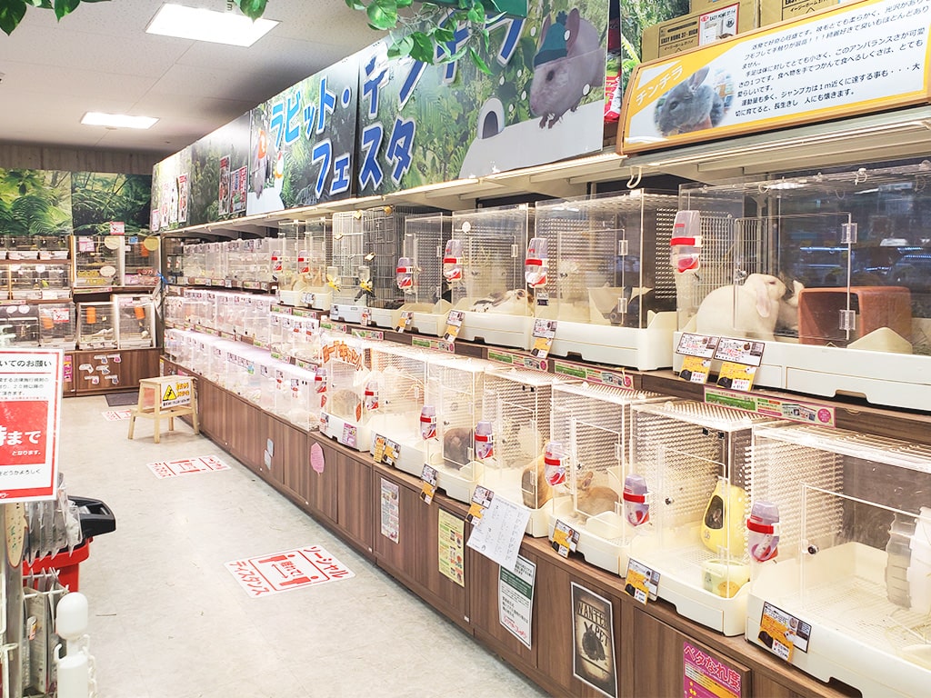 ひごペット堺プラットプラット店の口コミ評判と生体情報を徹底検証