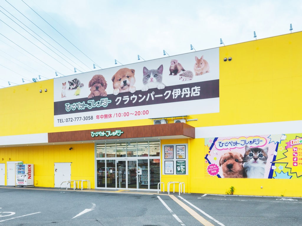 ひごペット伊丹の評判と料金は？生体価格からトリミングまで徹底検証