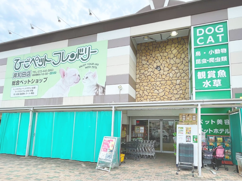 ひごペット岸和田店の評判・料金と生体価格を2026年徹底解剖