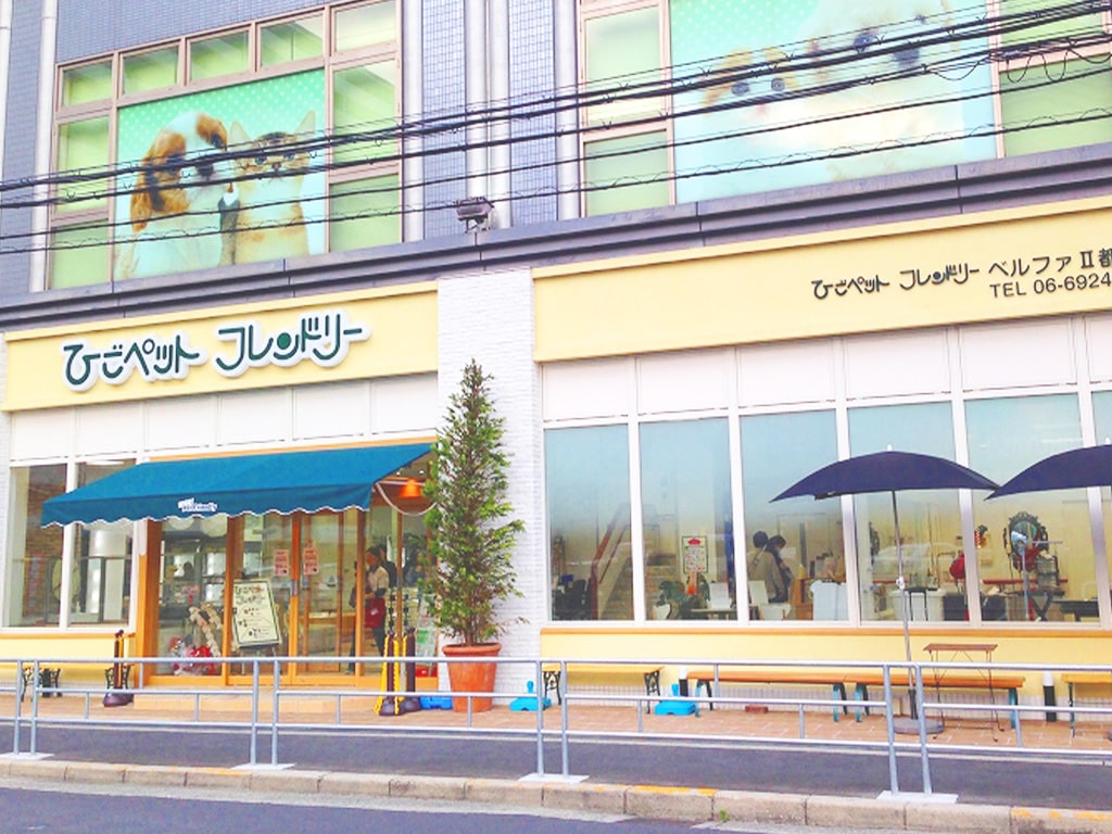 ひごペット都島店の口コミ評判と実態！料金・ホテル・生体まで徹底解説