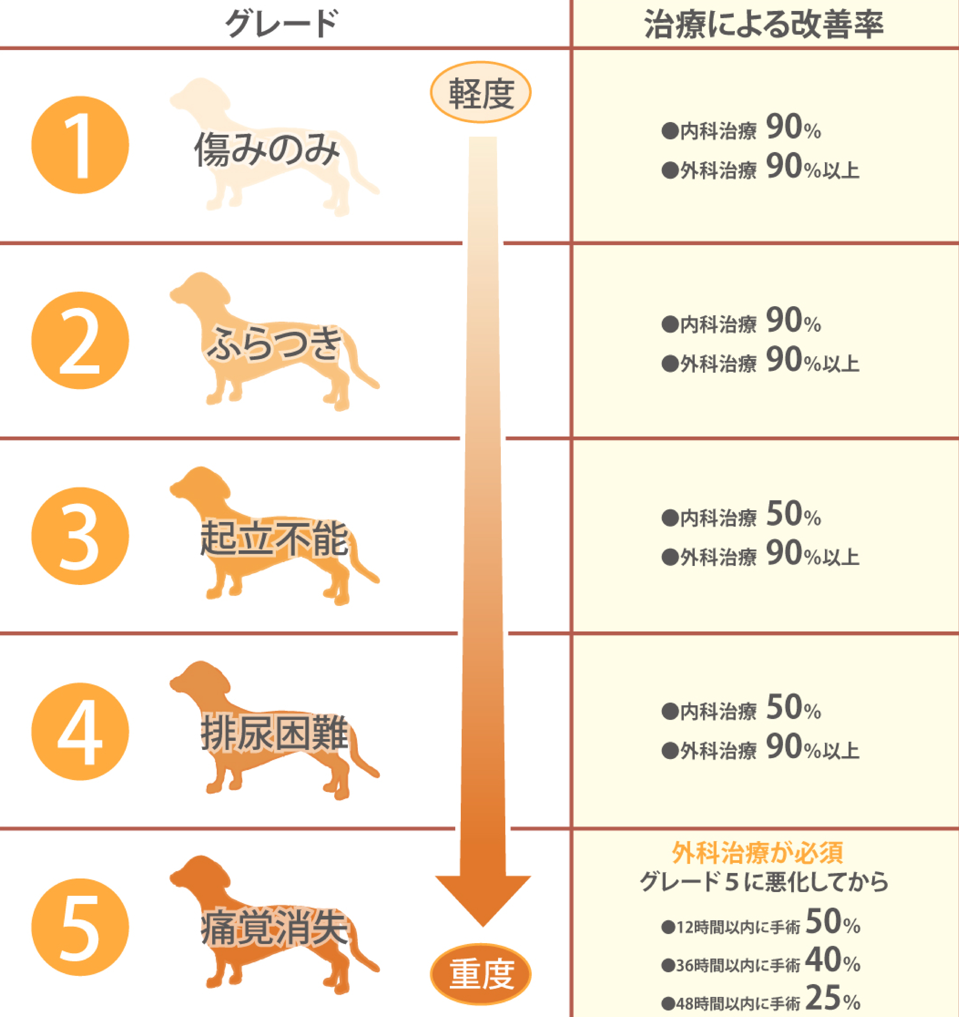 犬のヘルニアで突然動かない？初期症状・手術費用と2026年最新治療法