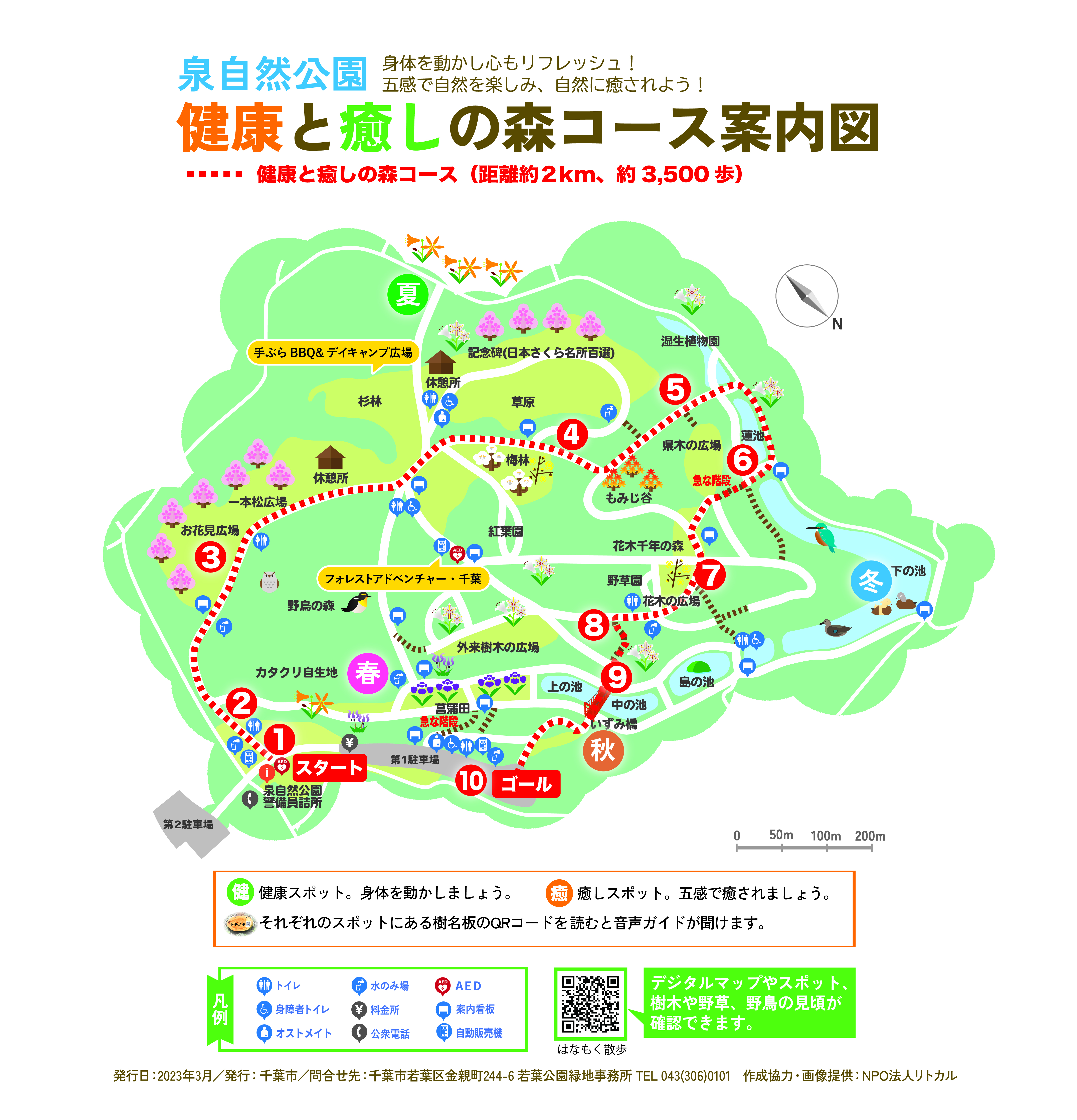 泉自然公園2026完全攻略！桜・紅葉の見頃と混雑回避の裏ワザ取材