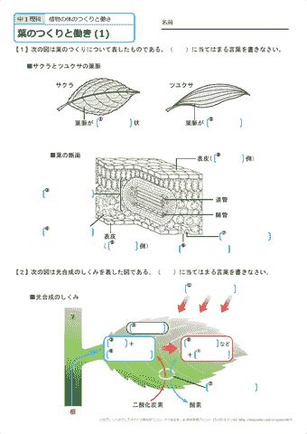 【話題】 中 1 理科 自学 気になる噂と真相 #741