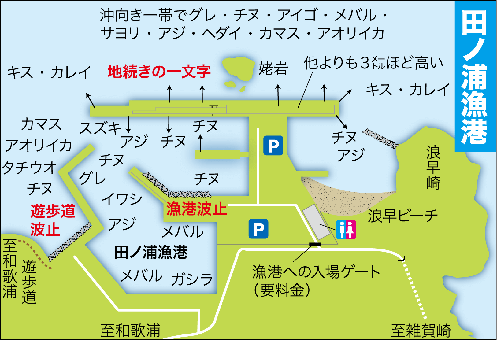 和歌山・田ノ浦漁港の釣り完全ガイド｜最新釣果と穴場・禁止エリアの真相