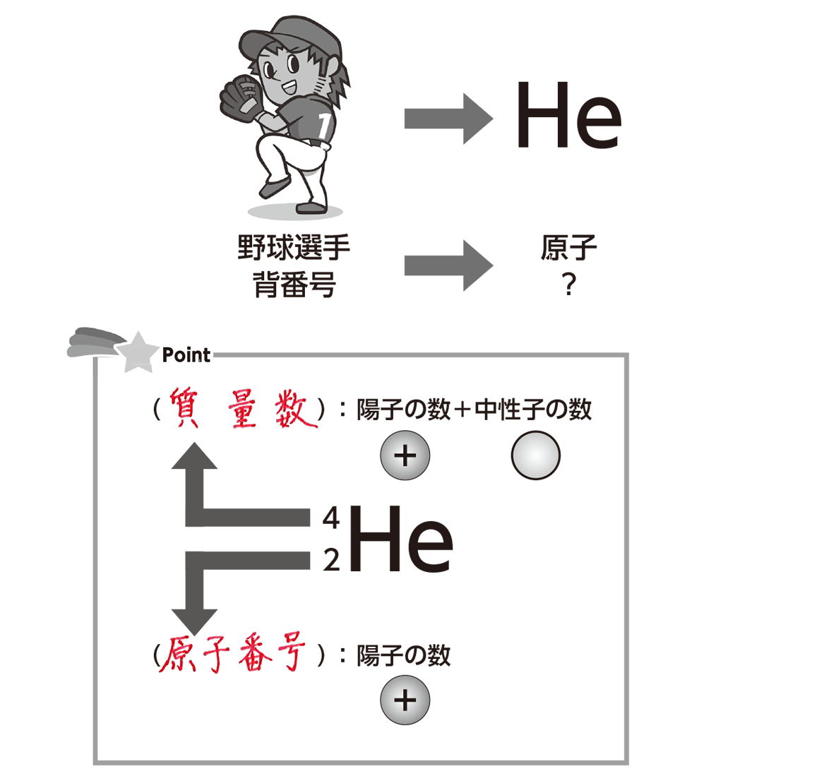質量数とは何か？原子番号との違いを誤解する人のために徹底解説