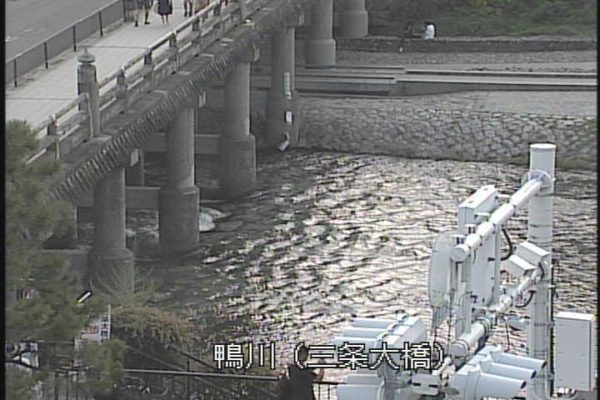 【2026年最新】京都・鴨川の「今」を映す高画質ライブ配信が話題：混雑回避から防災、季節の風物詩まで完全網羅