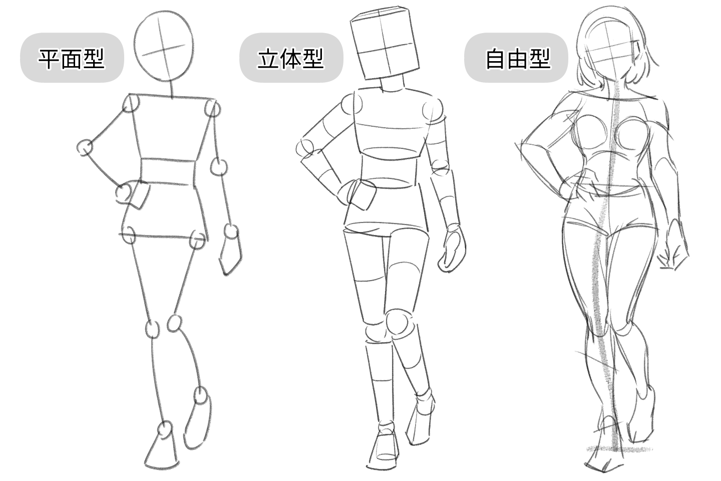体の書き方が劇的に変わる！プロが明かす黄金比率とアタリの極意