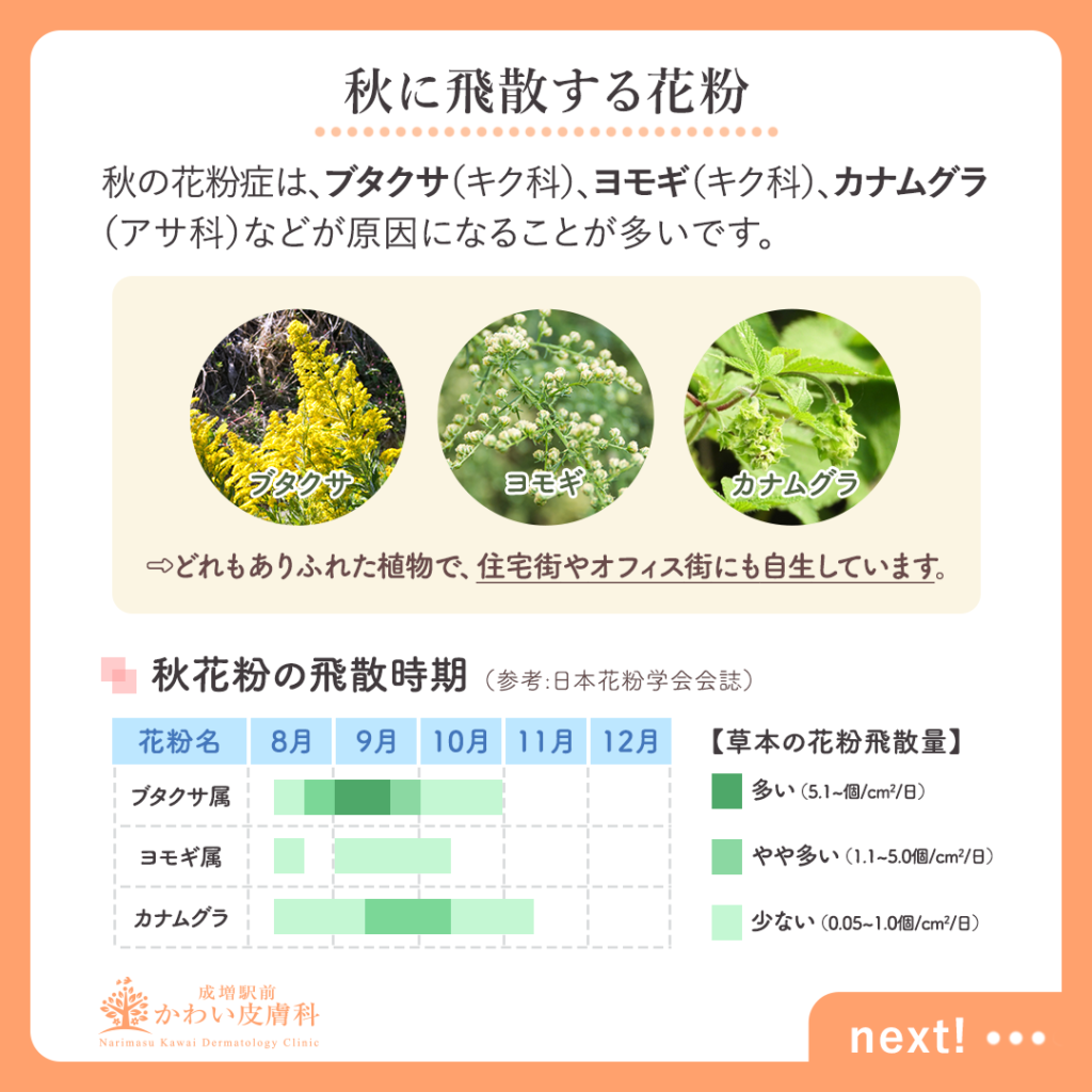 9月のアレルギー急増の正体とは？風邪との違いと2026年最新対策