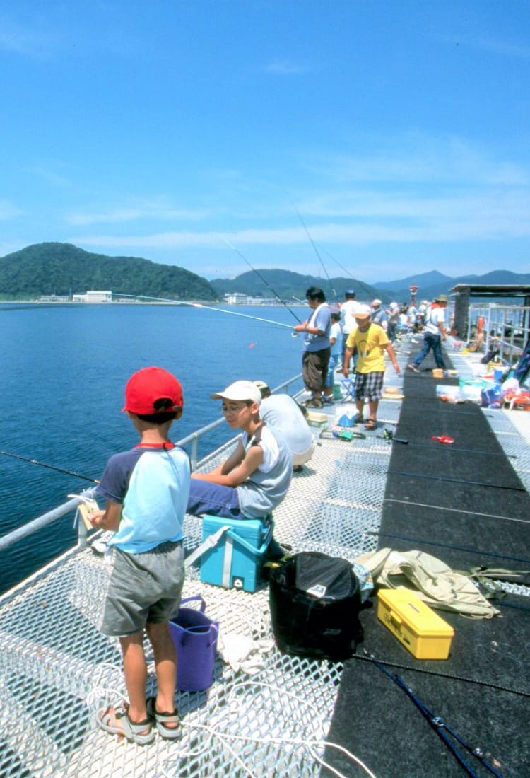 山口県の釣り情報2026最新版！釣果速報と日本海・瀬戸内海穴場ガイド