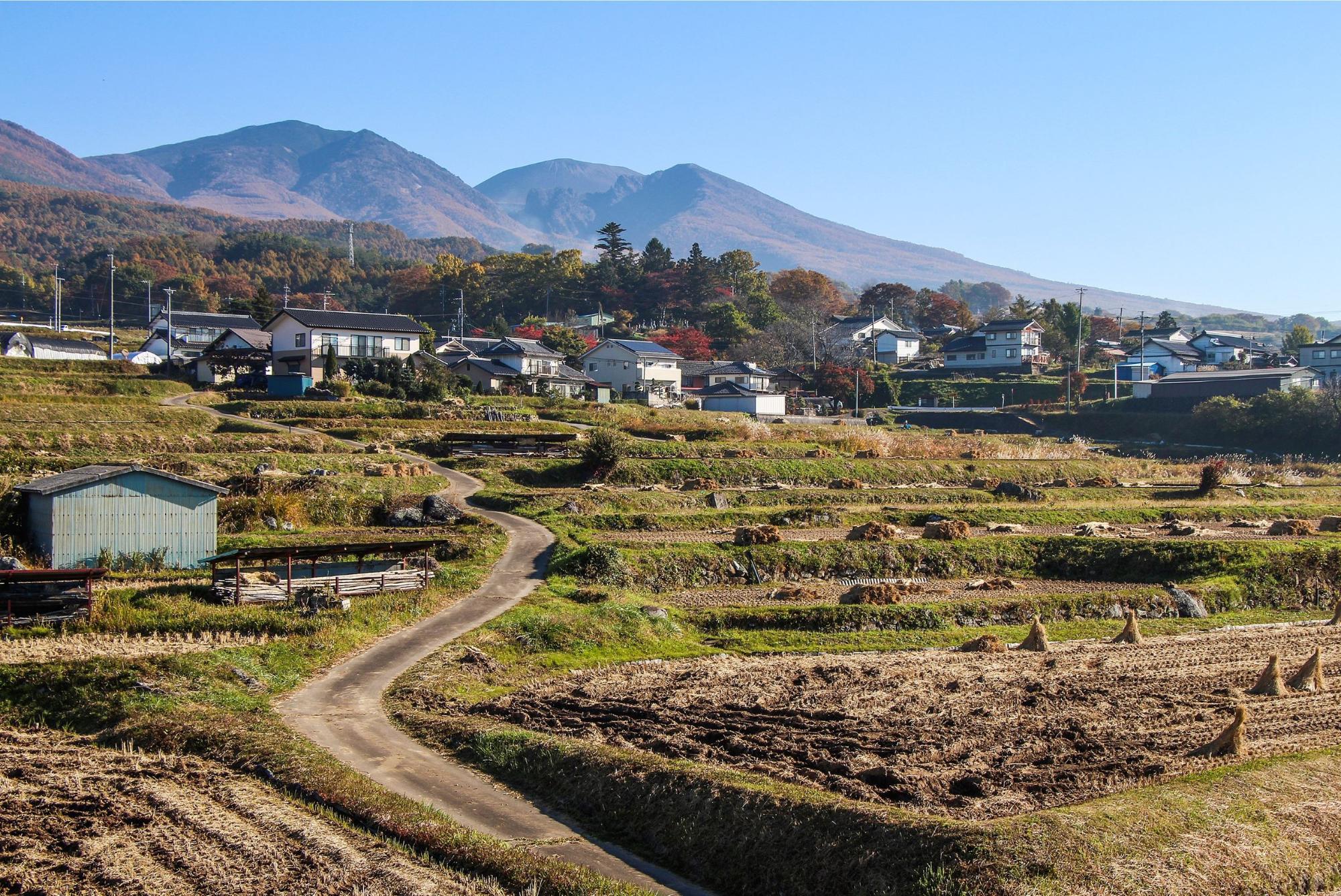長野県小諸市が2026年に注目される理由！移住と観光のリアルを徹底検証