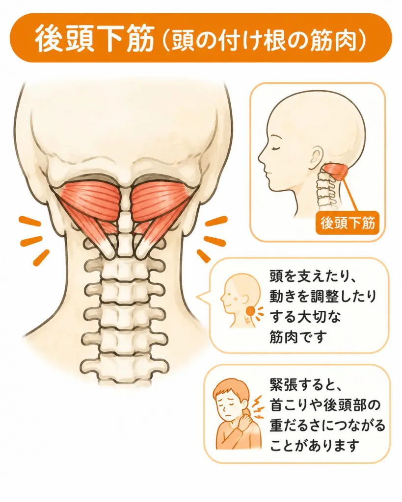 目を動かすと頭が痛い原因とは？危険な兆候と受診基準【2026最新】
