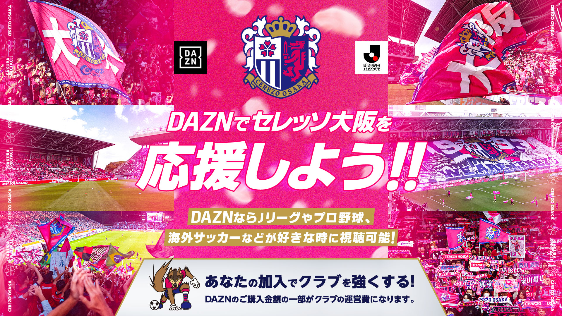 【2026最新】セレッソ大阪掲示板が示すサポーターの本音と熱量｜激闘のシーズンを裏で動かす「第二のスタンド」のリアル