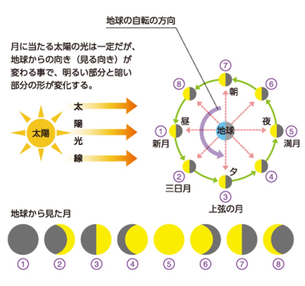 月の満ち欠けの仕組みとは？周期の理由や小学生向け覚え方を徹底解説
