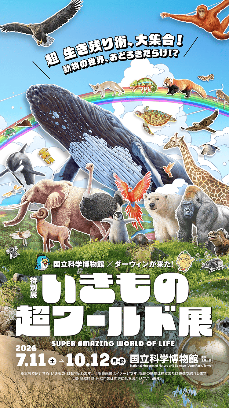『鈍色の箱の中で』結末ネタバレ解説！原作との違いと相関図の全貌