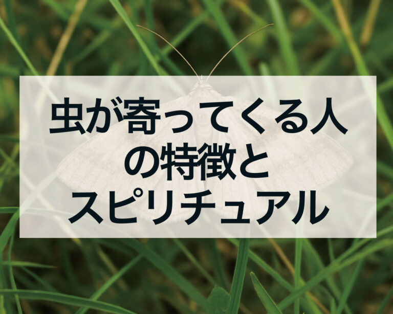 【衝撃】 虫 が 寄っ て くる 人 最新熱愛噂まとめ #880