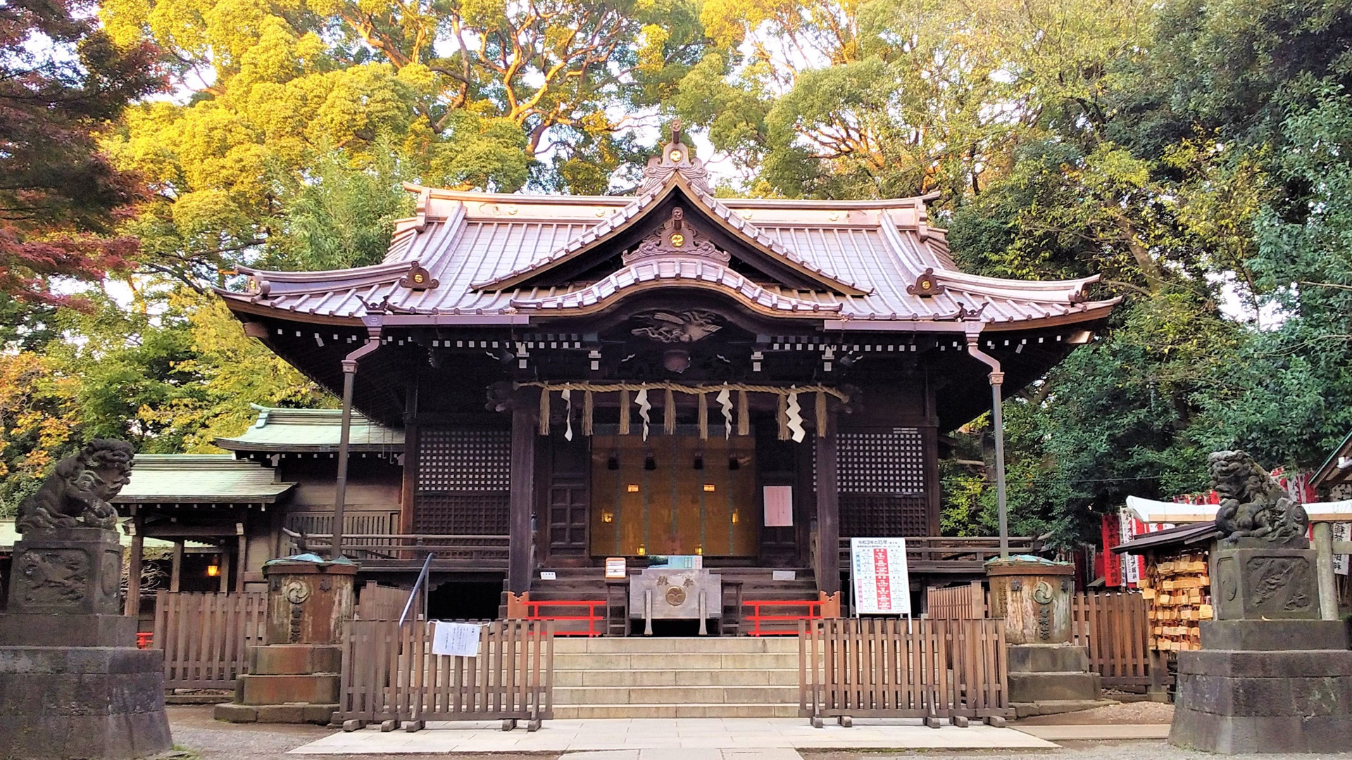 芸能人も通う代々木八幡宮の出世ご利益と正しい参拝ルート徹底取材