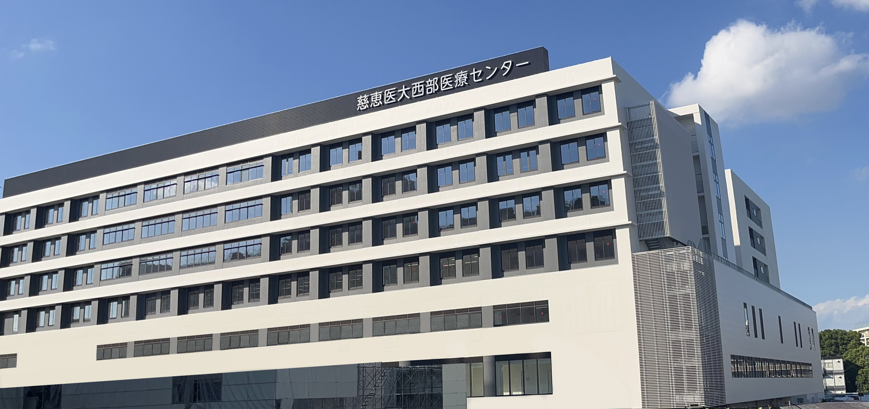【2026年最新現地レポ】浅草の路地を行列で埋める「揚げたての魔力」——なぜこのメンチカツは世界中の旅人を魅了し続けるのか