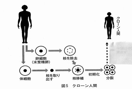 【噂】 クローン 人間 もう いる 経歴＆学歴まとめ 2026 #629