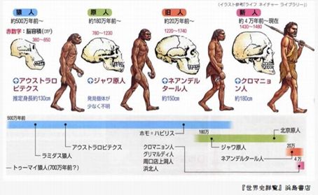 【噂】 人類 の 進化 図 最新出演情報まとめ #915