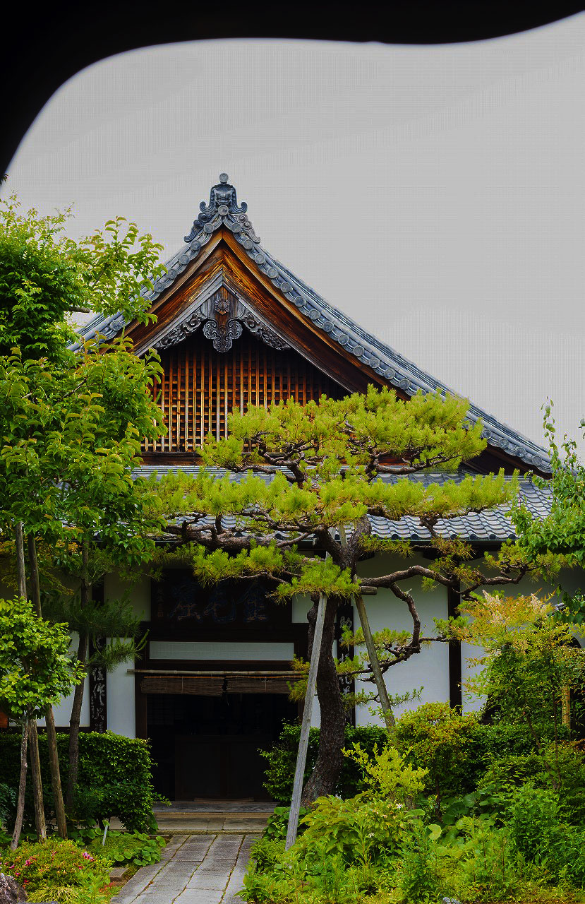 京都・妙心寺の八方睨みの龍と明智風呂の真相！見どころ完全ガイド