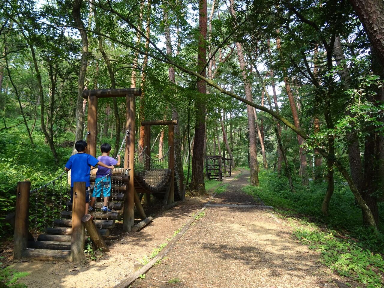 静岡県立森林公園の魅力とは？吊り橋・キャンプ・森の家まで徹底解説