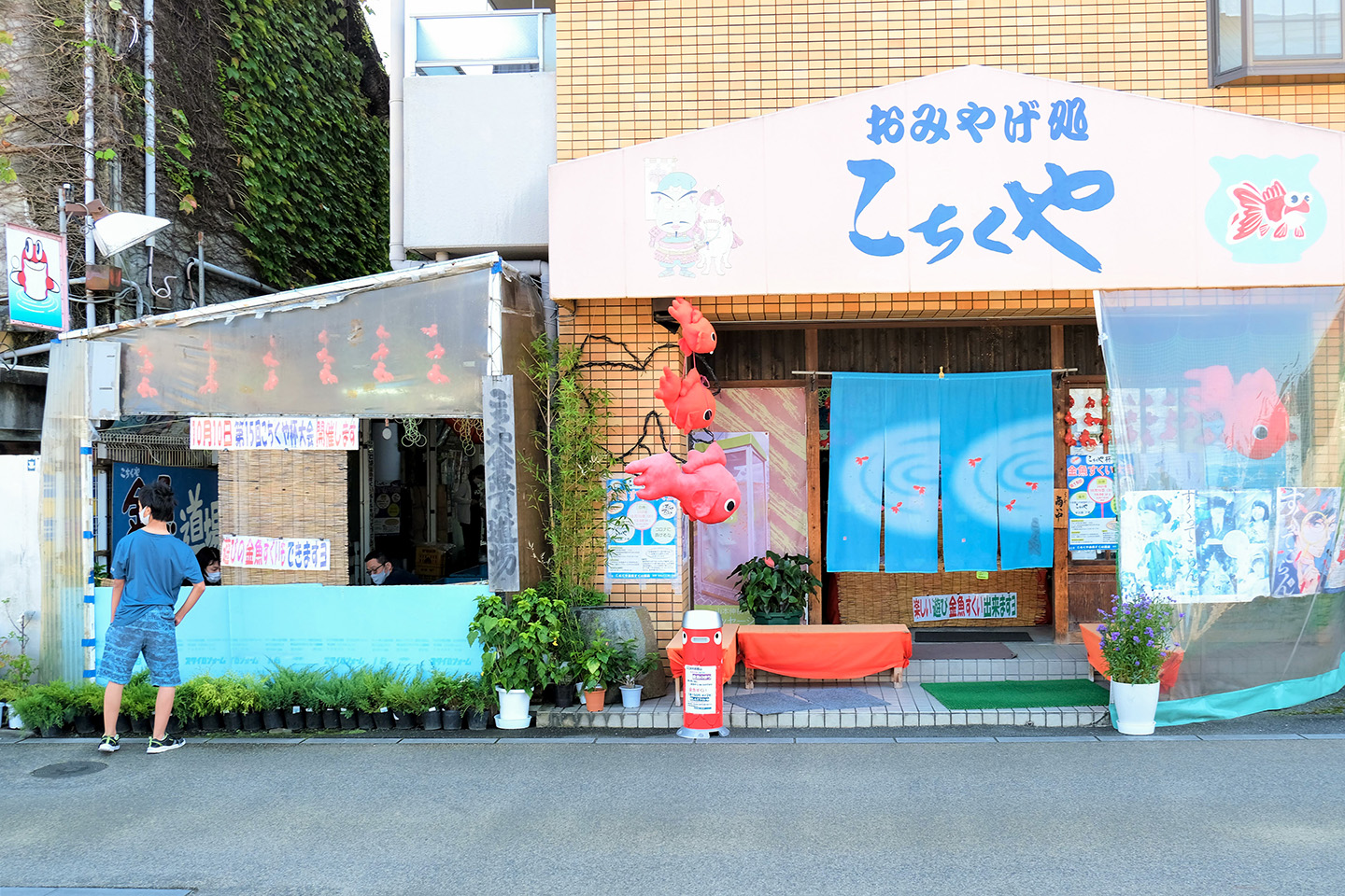 おみやげ処こちくやが2026年「地元の実力派」として評価を伸ばす理由
